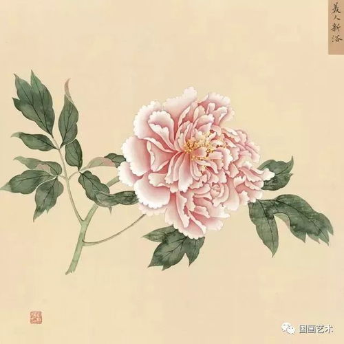 丹青妙手寫天香 故宮館藏蔣廷錫《牡丹十六種圖冊》中的芍藥風(fēng)姿